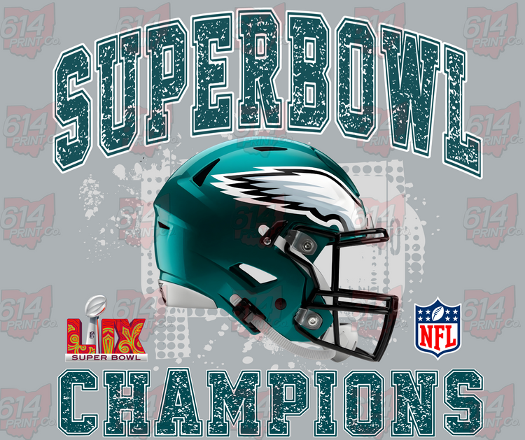 SUPERBOWL CHAMPIONS EAGLES ARCH NFL